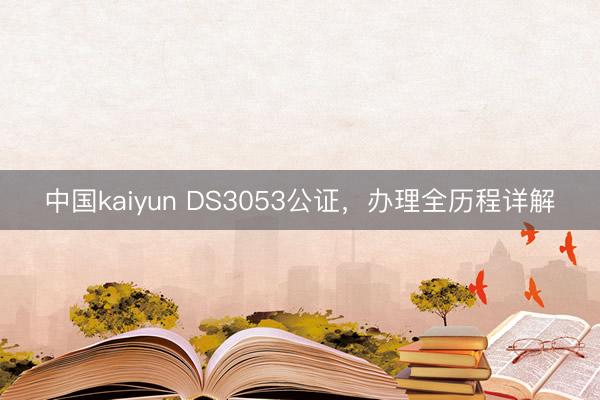 中国kaiyun DS3053公证，办理全历程详解