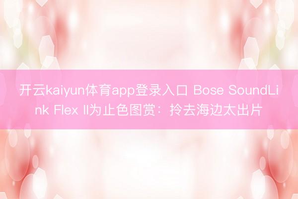 开云kaiyun体育app登录入口 Bose SoundLink Flex II为止色图赏：拎去海边太出片
