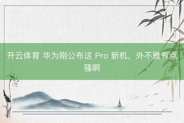 开云体育 华为刚公布这 Pro 新机，外不雅有点骚啊