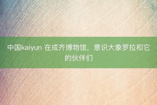 中国kaiyun 在成齐博物馆,意识大象罗拉和它的伙伴们