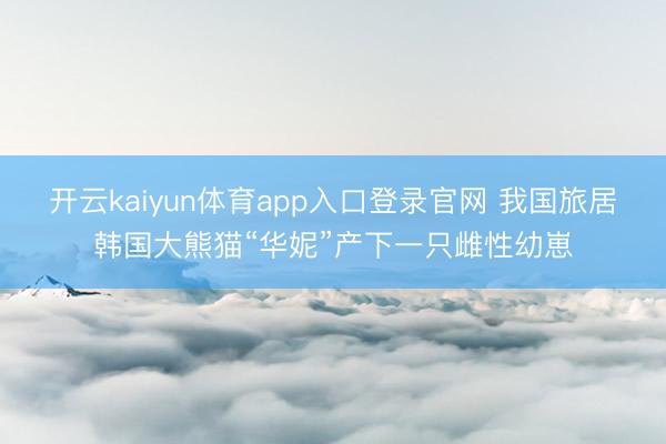 开云kaiyun体育app入口登录官网 我国旅居韩国大熊猫“华妮”产下一只雌性幼崽