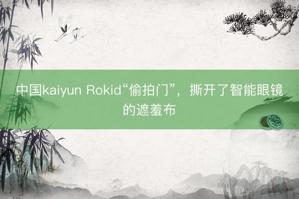 中国kaiyun Rokid“偷拍门”，撕开了智能眼镜的遮羞布